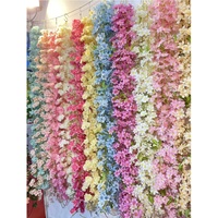 Tanaman Hias Desert Banksiae Wisteria Palsu, Tanaman Rambat Baru, Tunas Tanaman Rambat Himalaya Lace Glory, Duri Tanaman Rambat, Duri Mandevilla, Mawar