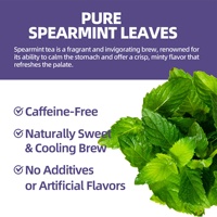 Sachets de thé aux feuilles de menthe verte pour infusion chaude ou froide, sans sucre ajouté, végétaliens, sans OGM, en forme de pyramide, personnalisables avec votre marque privée