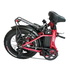 Hottest Electric Bicycle E-bike 48V 750W Lithium Battery 20 Inch Folding Step Fat Tire Electric Bike for Ladies