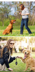 Clawprint <span class=keywords><strong>Pet</strong></span> Training Sound Clip - Clear Audio-Correcteur de comportement du dresseur de <span class=keywords><strong>chien</strong></span> - Product Image 6