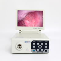 Endoscope gastrique et coloscopique portable flexible pour animaux de compagnie (chiens, chats, lapins) à prix d'usine pour clinique vétérinaire
