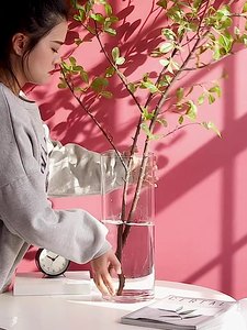 10*10 Cylinder Glass <strong>Bud</strong> <strong>Vases</strong> for Centerpieces, Clear Small <strong>Vases</strong>,Handmade Slim Flower <strong>Vases</strong> Wedding - Product Image 2