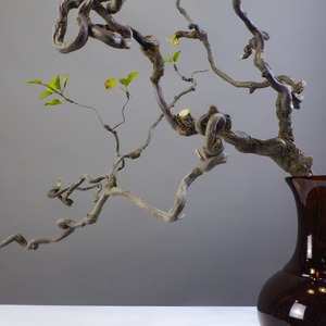 Arbres artificiels en bois de <span class=keywords><strong>jujube</strong></span> rétro, branches de fleurs séchées pour Noël et Pâques, plante artificielle de style rétro unique - Product Image 3