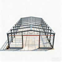 Estructura de Acero Personalizada Q355B, Estructura de Portal Prefabricada, Acero Estructural para Talleres, Almacenes y Edificios
