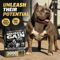 75ct Muscle Gain Dog Power Chews 11-en-1 BCAA L-Lysine Soutien Bien-être Maintien des Performances Stimulant de Croissance Musculaire Soin 300g