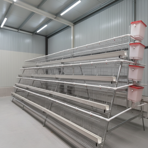 Equipo de Cría de Pollos de Engorde Automático, Jaula para Pollos de Engorde <span class=keywords><strong>Tipo</strong></span> Poultry, <span class=keywords><strong>Gallinero</strong></span> para Nigeria - Product Image 1