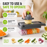 Aangepaste Logo 14/16-delige groentehakker-snijder-dicer-mandoline set met retailverpakking OEM groothandel leverancier