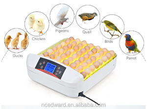 HHD WONEGG ขายร้อน 56 ไข่โรงพยาบาลสัตวแพทย์อุปกรณ์ดูแลเด็กทารกอัตโนมัติเครื่องฟักไข่ <span class=keywords><strong>Incubator</strong></span> - Product Image 4
