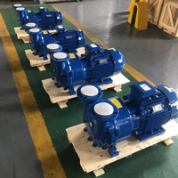 Pompe à vide à anneau liquide 2BV avec pompe de filtration sous vide à anneau d'eau du moteur du compresseur en Chine