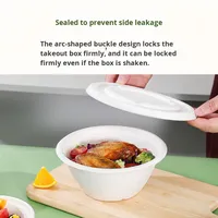Biologisch afbreekbare, dikke, magnetronbestendige lunchschaal & ronde bord van suikerrietpulp voor hamburger en fruit