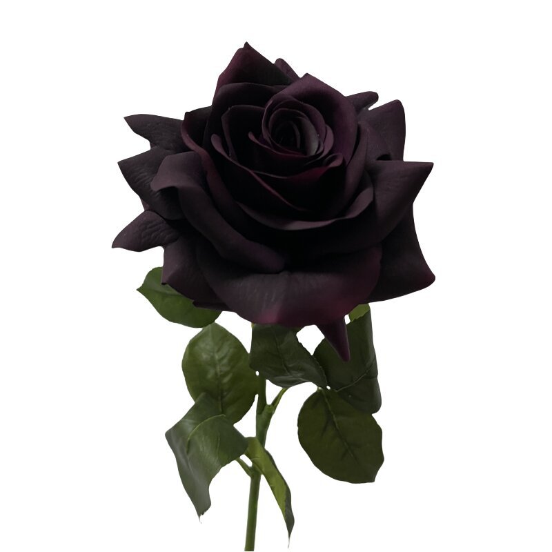 Noir rouge