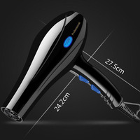 Sèche-cheveux professionnel à moteur DC avec concentrateur/diffuseur/lumière bleue ionique, très vendu pour salons de coiffure