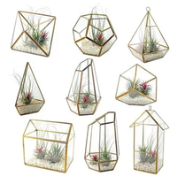 Terrarium géométrique en verre noir pour plantes succulentes, fougères, plantes aériennes, mini-jardin féerique, cadeau
