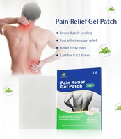 Patchs Hydrogel Mentholés Chinois 10x14cm les Plus Vendus – Gel Rafraîchissant Blanc pour Soulagement des Douleurs Musculaires du Dos – Compresses Chaudes et Froides