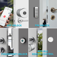 Cylindre de serrure de porte intelligente Tuya Smart Zigbee avec ouverture à distance, serrure de porte intelligente standard européenne