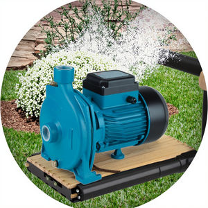 Ev için popüler tarzı elektrikli su pompası 1 inç periferik basınç tek kademeli Jet karter pompası 60Hz - Product Image 3