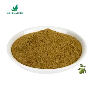 Natural Organic Olive Leaf Extract Powder 50% Oleuropein