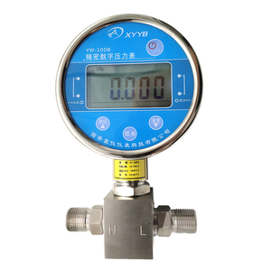 Jauge numérique différentielle LCD 5 chiffres 0,05 % 100 mm IP67 en acier inoxydable 304 YW-100B - Product Image 3