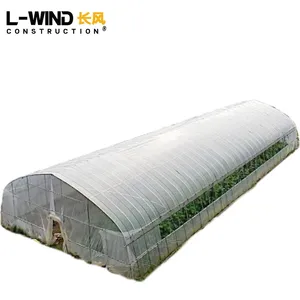10*100m 10 to 100mts Greenhouse for Vegetable Fruit Planting Garden