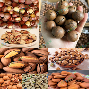 Machine <span class=keywords><strong>automatique</strong></span> à ouvrir les amandes, les noix de pin, les noisettes, les noix de cajou, les abricots - Product Image 6