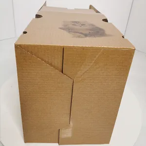 Kotak Karton Kustom Hewan Piaraan Kemasan Karton Karton Bergelombang Kuat Dapat Dilipat Kotak Kertas Coklat untuk Cat Carrier Express
