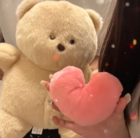 Cadeau de la Saint-Valentin, ours en peluche enregistrable pour petite amie, jouet électronique personnalisé