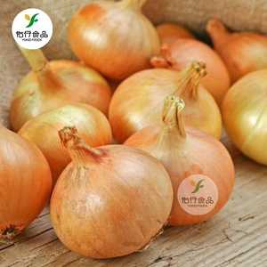 Xuất Khẩu Container Trung Quốc Đặc Điểm Kỹ Thuật Tươi Hành Vàng Giá 1Kg Mỗi Tấn Metric Đối Với Malaysia - Product Image 1