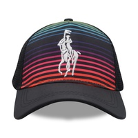 BSCI broderie sublimée 6 panneaux casquette de baseball avec logo 100% polyester mode chapeau Bone de basebo