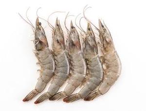 กุ้งกั๊กดำแช่แข็งพร้อมปรุง ปอกเปลือก ล้างเส้นดำ พร้อมรับประทาน ขายส่งจำนวนมาก โปรตีนสูง คาร์โบไฮเดรตต่ำ อาหารทะเลสำหรับธุรกิจ HoReCa - Product Image 3