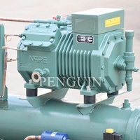 Refroidisseur d'unité de compresseur alternatif à faible bruit de réfrigération de chambre froide 8HP Bitze unité de condensation refroidie à l'eau
