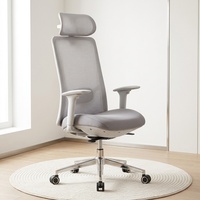 Chaise ergonomique en maille à dossier haut, accoudoirs 4D, soutien lombaire réglable, chaise de bureau et table de bureau électrique à hauteur réglable