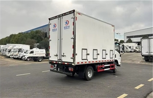 <span class=keywords><strong>Camion</strong></span> de transport de poussins <span class=keywords><strong>d</strong></span>'un jour 4x2 LHD, pour poussins vivants, à vendre au Pérou - Product Image 3