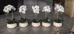 Fleur de cymbidium au toucher réel en <span class=keywords><strong>fausse</strong></span> soie blanche en gros pour la décoration de l'espace du festival à la maison - Product Image 4