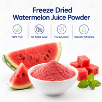 Poudre de jus de pastèque lyophilisée de qualité alimentaire, extrait de fruits biologique
