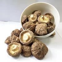 Jamur Utuh Tebal Berdaging, Jamur Shiitake, Sumber Vitamin D, Pengganti Daging Nabati, Sesuai HACCP, Kemasan Besar