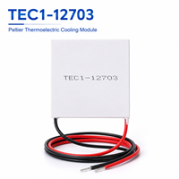 Module de refroidissement Peltier OEM TEC1-12703 30x30mm, refroidisseur thermoélectrique à semi-conducteurs, fourniture d'usine