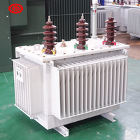 Transformateur abaisseur triphasé 20KV 22KV 75kva 200kva 500kva 630kva 480V immergé dans l'huile à enroulement en cuivre pour extérieur