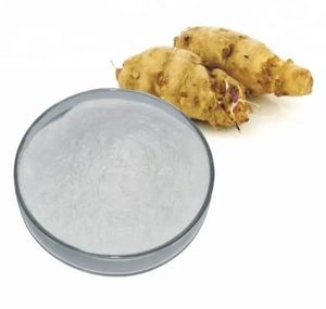 Suplementos nutricionales Extracto de alcachofa en polvo CAS 9005-80-5 Extracto de raíz de achicoria Inulina - Product Image 5