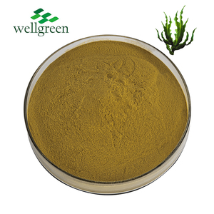 Miễn phí mẫu nước hòa tan <span class=keywords><strong>fucoxanthin</strong></span> rong biển 30%-50% Polysaccharide rong biển chiết xuất bột - Product Image 1
