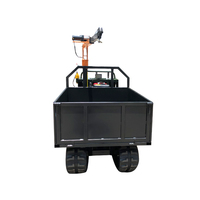 Chargement élevé certifié CE Mini Dumper Truck Prix 500kg