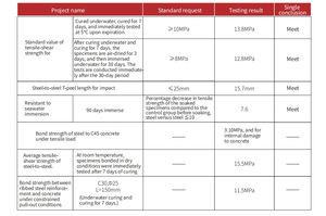 <span class=keywords><strong>Ancorante</strong></span> Epossidico NJMKT <span class=keywords><strong>per</strong></span> Calcestruzzo Subacqueo 500ml MT 500 Resina Epossidica <span class=keywords><strong>Ancorante</strong></span> <span class=keywords><strong>Chimico</strong></span> ad Alta Capacità di Carico - Product Image 2