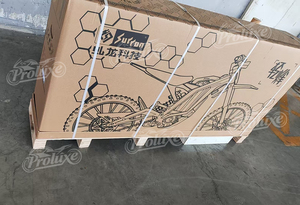 Surron prêt à être expédié, nouveau style, puissantes améliorations du moteur central, <span class=keywords><strong>moto</strong></span> électrique Surron Light Bee X 60V - Product Image 6