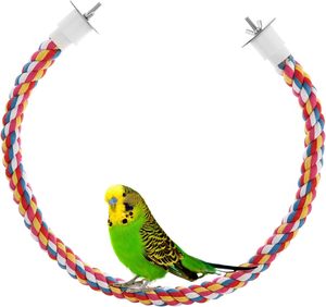Nouveau design Jouets pour oiseaux multicolores en corde de type bungee pour accessoires de perroquet - Product Image 6