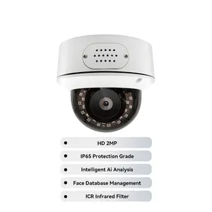 LEELEN cambrera de surveillance ip IP65 reconnaissance faciale caméras de sécurité 1080P PoE caméra de surveillance extérieure sans wifi