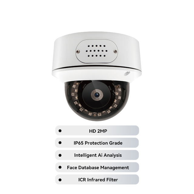 LEELEN Cambrera De Surveillance Ip IP65 Face Recognition Security Cameras 1080P PoE Surveillance Camera Outside Without Wifi