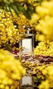 100% Premium polvere di cardamomo naturale (<span class=keywords><strong>Elettaria</strong></span> Cardamomum) spezie aromatiche 100g/500g/1kg sacchetto - Product Image 2