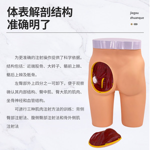 Inyección intramuscular avanzada en la nalga; modelo anatómico de inyección en la nalga; modelo didáctico para práctica de enfermería. - Product Image 4