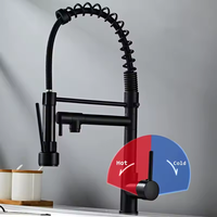 Mitigeurs de Cuisine Modernes Noirs en Acier Inoxydable à Ressort avec Douchette Extractible 2 Fonctions pour Évier