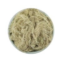 Usnea Kering Premium (Jenggot Orang Tua) 1000g Obat Herbal Alami untuk Batuk & Dukungan Imunitas Grosir
