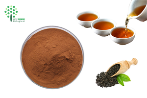 Estratto Naturale di Tè Verde, Estratto Erboristico, 98% Polifenoli del Tè, 80% Catechine, 50% <span class=keywords><strong>EGCG</strong></span>, Testato UV, Polvere Sfusa in Fusto da 1kg - Product Image 4